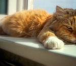 В Астрахани дневная температура воздуха продолжит расти