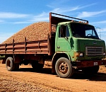 Астраханец потерял почти 11 млн рублей, покупая 400 тонн несуществующих бобов 