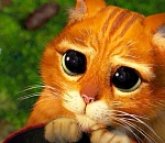 О чем астраханцы умоляют Игоря Бабушкина в Instagram