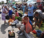  На Больших Исадах проходят рейды по ликвидации несанкционированной торговли