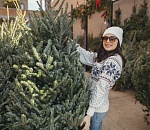 Елочные базары откроются во всех районах Астрахани