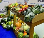 Астрахань представила в Москве все свои гастрономические изыски