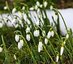 Весна пришла! Как изменится наша жизнь?