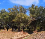 В Астрахань идёт тепло