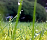 В четверг астраханцев ждет жара и небольшой дождь