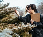 Завтра ночью погода в Астраханской области похолодает до -9°, зато почти весь день пройдет при плюсе