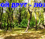 В Астраханской области на каждого жителя в лесу приходится 33 дерева