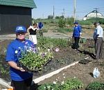 Мэрия попыталась превратить Астрахань в город-сад