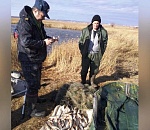 В Астраханской области стартовал осенний этап операции «Путина-2022»