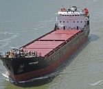 Вслед за Рахманиновым и Сенатором: в Астраханской области Голден Роуз сель на мель