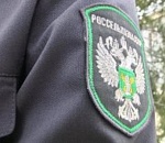 Россельхознадзор отсудил более 650 тысяч рублей за свалку на астраханских сельхозземлях