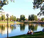 В Астрахани лебеди вернулись на озеро