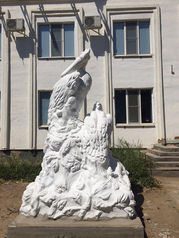 В Астраханском заповеднике старых пеликанов заменили на новых