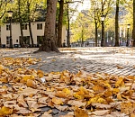 Завтра в Астраханской области ночь приблизится к холоду, а день останется по-прежнему теплым 