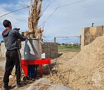 Некоторые астраханские школы зимой будут отапливать камышом