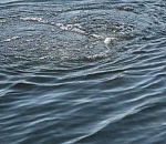 Астраханец утонул, решив продемонстрировать хорошую физическую форму