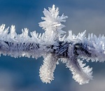 В субботу астраханцев ждет туман, изморозь и легкий минус на термометре