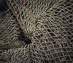 В Астраханской области задержали браконьеров-волгоградцев