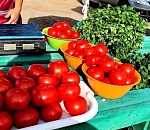 Астраханцам предлагают купить фрукты, мясо и рыбу по дешевым ценам