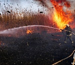 МЧС: в 12 из 13 муниципалитетов Астраханской области прогнозируется чрезвычайная пожароопасность