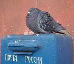 Минкомсвязь предлагает наказывать за вброс рекламы в почтовый ящик штрафами