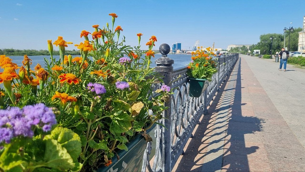 В Астрахани цветами украшают даже фонарные столбы