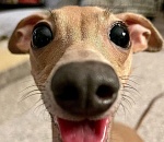 Не дельный обзор. Астраханцам запрещают нырять и плавать на досках