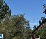 В Астрахани воплощают в жизнь пословицу, что ученье - свет