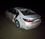 В Астрахани волгоградец на Лексусе сбил лошадь