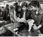 Россия может запретить импорт автомобилей и одежды в ответ на санкции