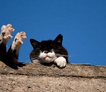 Завтра в Астрахани будет тепло и солнечно