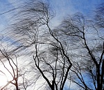 В четверг в Астрахани тепло, местами дождливо, порывами - ветрено