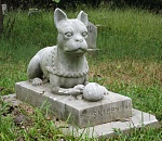 Где могилка твоя? Как астраханцам законно похоронить своего домашнего питомца