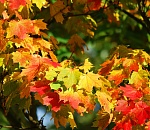 1 сентября для астраханцев многое изменится