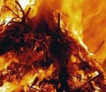 В Астраханской области дети сожгли 2,5 тонны сена