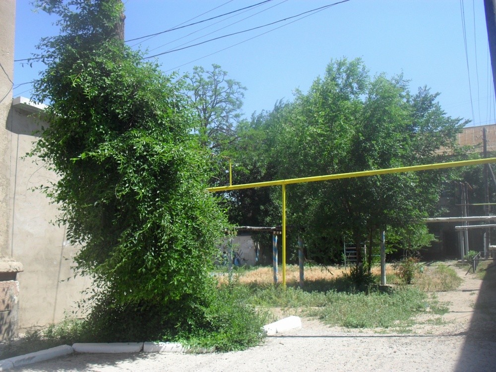 Спасатели «Волгоспаса» облагородили территорию у здания ведомства