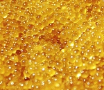 В Астрахань не пропустили почти тонну щучьей икры из Казахстана