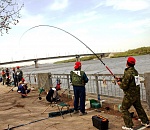 Фестивалю «Вобла» - 25 лет. Чтобы вобла никогда не стала золотой!