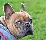 Ноябрь встретит астраханцев потеплением