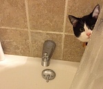 Горячая вода сегодня появится в кранах астраханцев