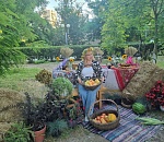 В парке «Аркадия» астраханцам покажут шоу огня и света