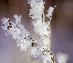 Завтра в Астрахани похолодает еще сильнее
