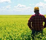 Астраханские фермеры не хотят соблюдать правила