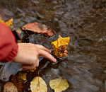 Ноябрь прощается с астраханцами дождем и ветром