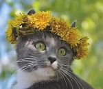 В марте в Астрахани будет дождливо, тепло и даже жарковато