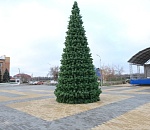 В Астраханской области установили первую ёлку