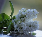 В Астрахани вся неделя будет холодной