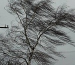 Штормовое предупреждение: в Астрахани и области ожидается сильный ветер