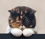 Астраханцев из-за жары ждут скучные выходные