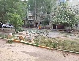 Скончалась девочка, на которую сегодня в Астрахани упало дерево